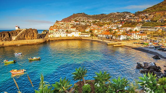 Madeira holiday guide: Camara de Lobos fishing village